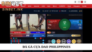 ĐÁ GÀ CỰA DAO PHILIPPINES VỚI SỨC HÚT CỰC MÃNH LIỆT 3 ĐÁ GÀ CỰA DAO